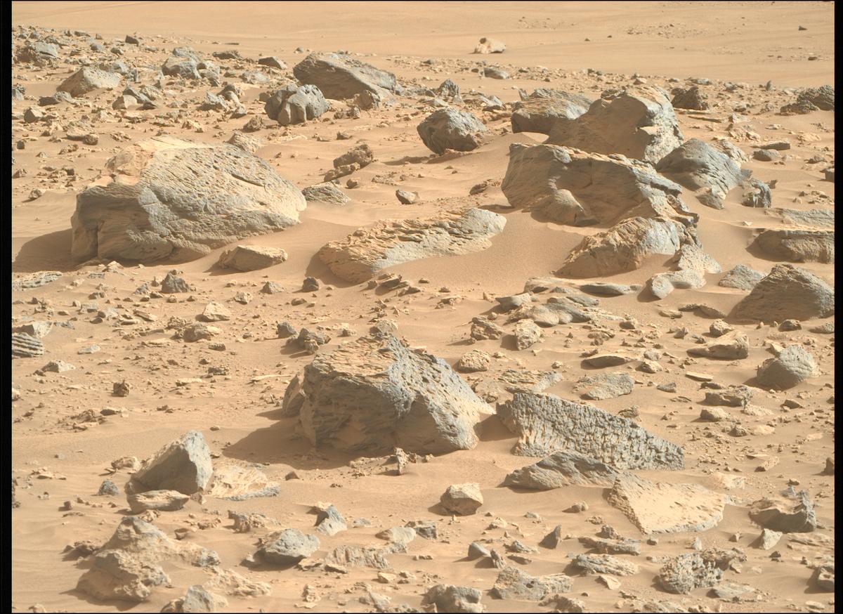 This image was taken by MCZ_RIGHT onboard NASA's Mars rover Perseverance on Sol 1221