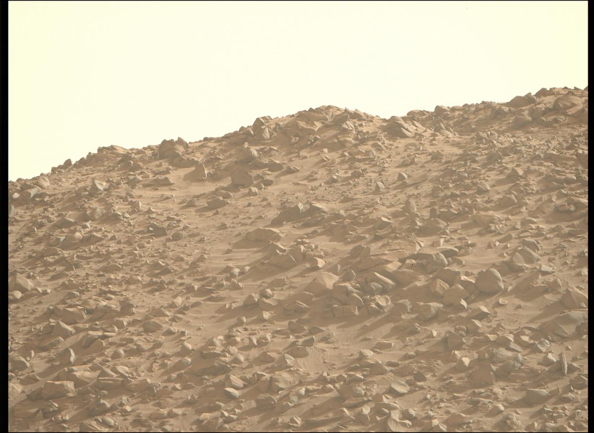 This image was taken by MCZ_RIGHT onboard NASA's Mars rover Perseverance on Sol 1221