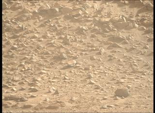 View image taken on Mars, Mars Perseverance Sol 1221: Right Mastcam-Z Camera