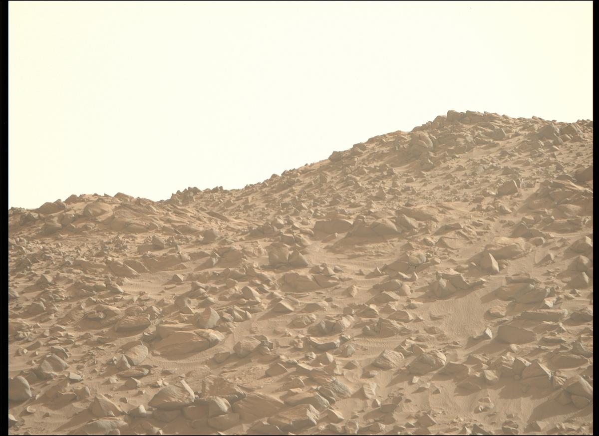 This image was taken by MCZ_RIGHT onboard NASA's Mars rover Perseverance on Sol 1221