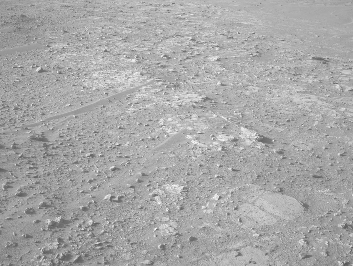 This image was taken by NAVCAM_LEFT onboard NASA's Mars rover Perseverance on Sol 1224