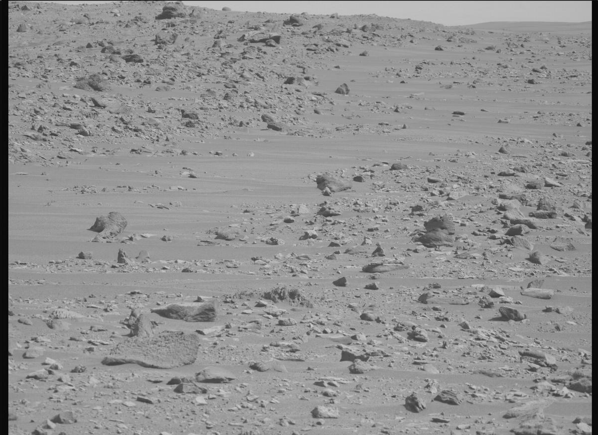 This image was taken by MCZ_LEFT onboard NASA's Mars rover Perseverance on Sol 1224