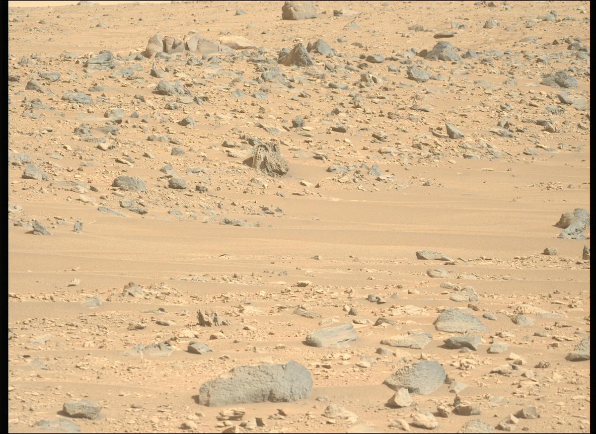 This image was taken by MCZ_LEFT onboard NASA's Mars rover Perseverance on Sol 1224