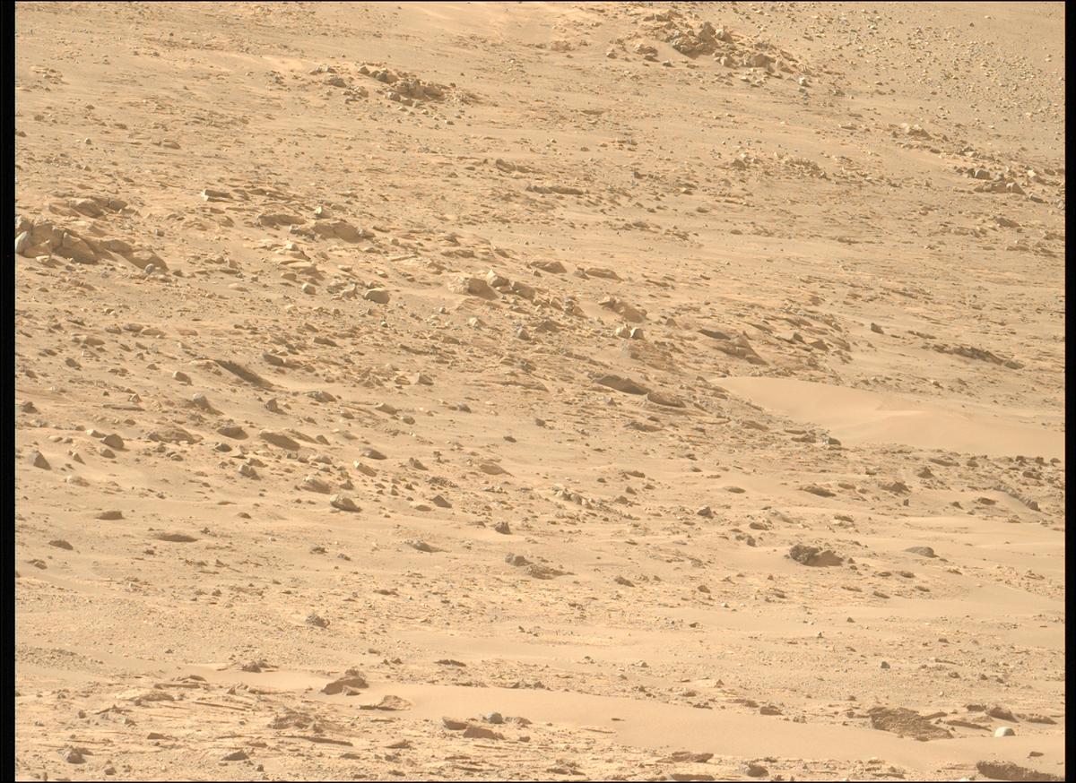 This image was taken by MCZ_LEFT onboard NASA's Mars rover Perseverance on Sol 1225