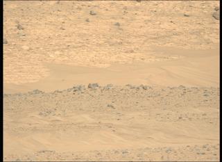 View image taken on Mars, Mars Perseverance Sol 1225: Left Mastcam-Z Camera