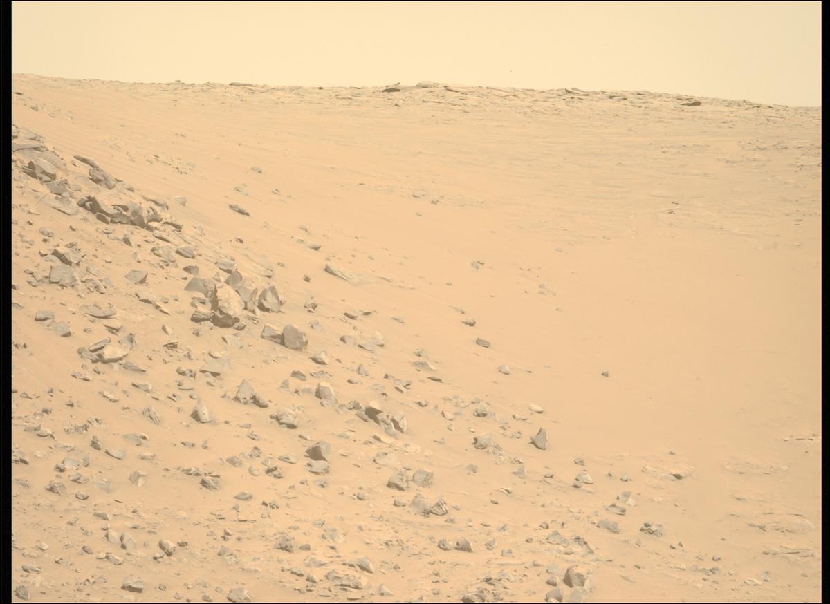 This image was taken by MCZ_LEFT onboard NASA's Mars rover Perseverance on Sol 1225