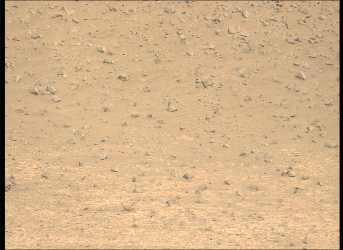 This image was taken by MCZ_LEFT onboard NASA's Mars rover Perseverance on Sol 1225