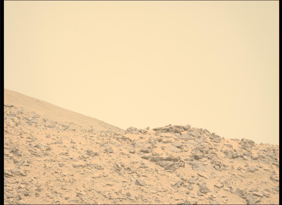This image was taken by MCZ_LEFT onboard NASA's Mars rover Perseverance on Sol 1225