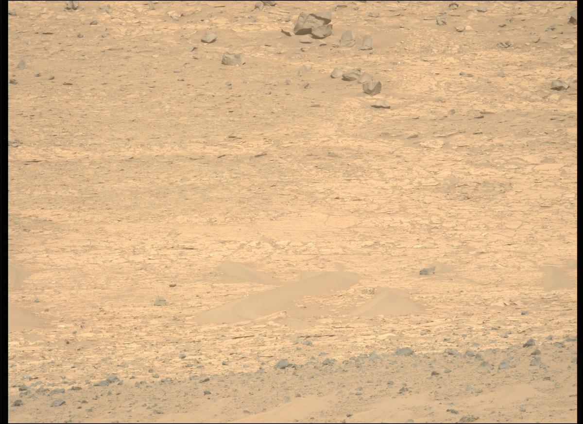 This image was taken by MCZ_LEFT onboard NASA's Mars rover Perseverance on Sol 1225