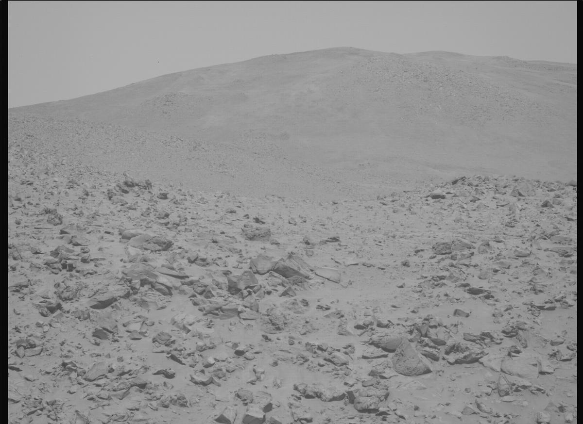 This image was taken by MCZ_LEFT onboard NASA's Mars rover Perseverance on Sol 1225