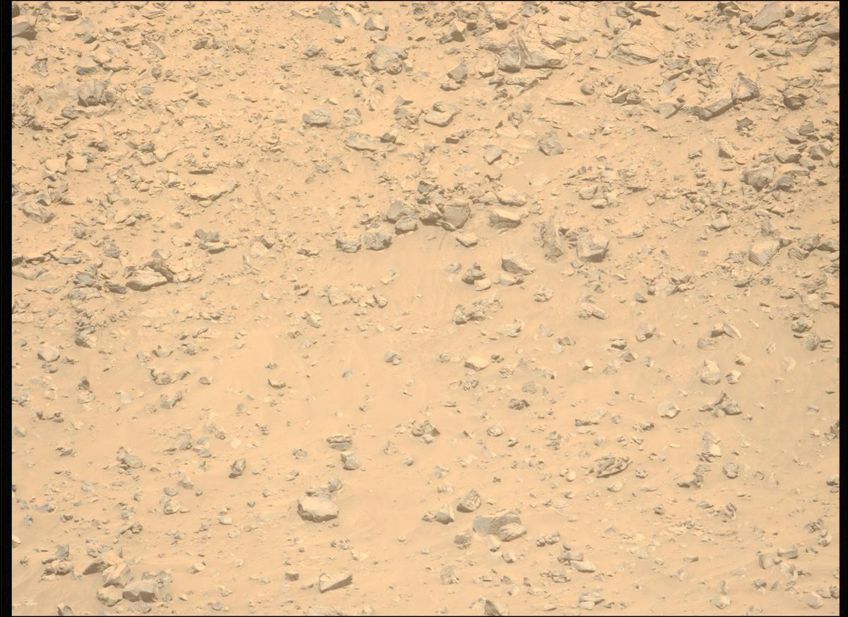 This image was taken by MCZ_LEFT onboard NASA's Mars rover Perseverance on Sol 1225