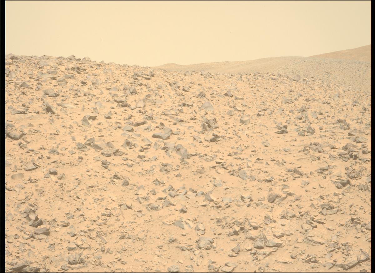 This image was taken by MCZ_LEFT onboard NASA's Mars rover Perseverance on Sol 1225
