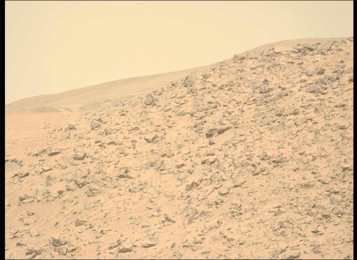 This image was taken by MCZ_LEFT onboard NASA's Mars rover Perseverance on Sol 1225