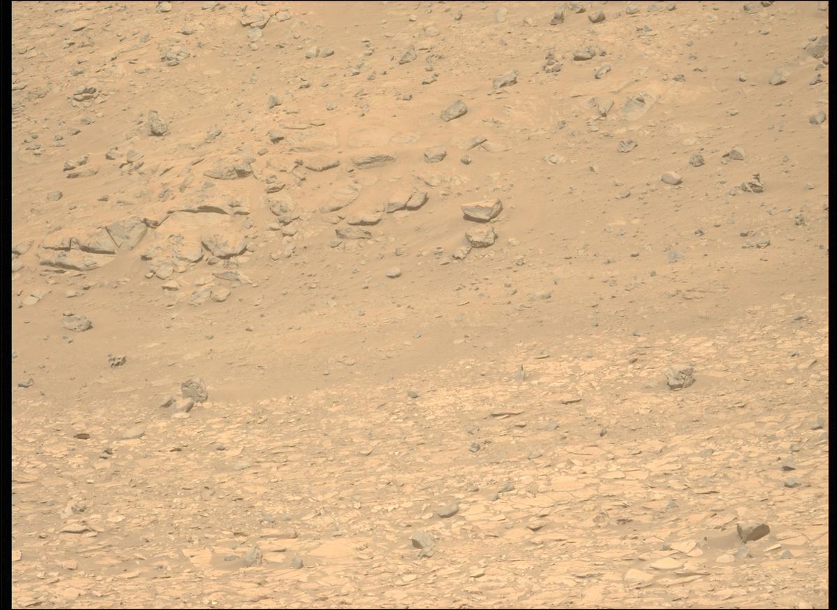 This image was taken by MCZ_LEFT onboard NASA's Mars rover Perseverance on Sol 1225