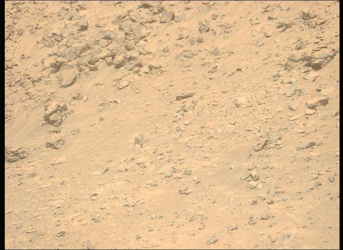 This image was taken by MCZ_LEFT onboard NASA's Mars rover Perseverance on Sol 1225