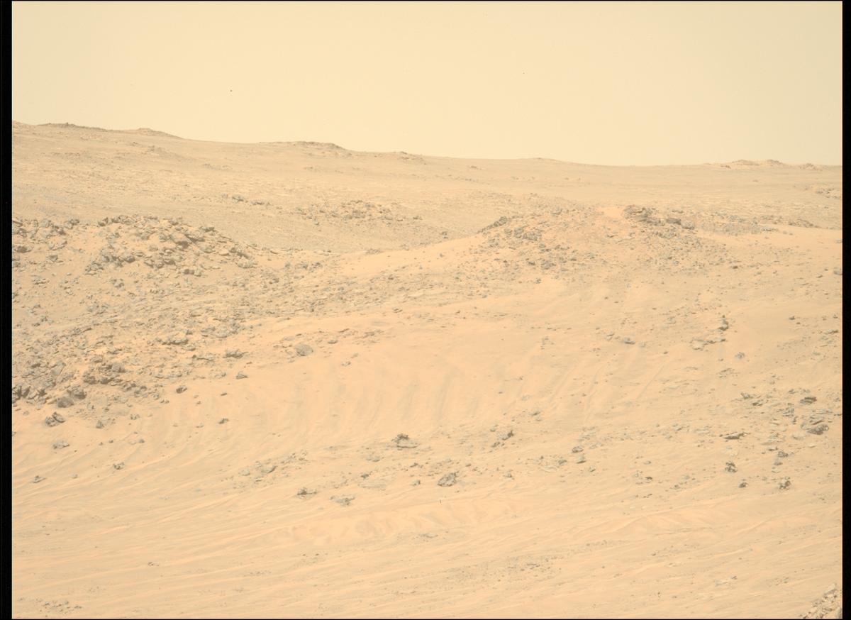 This image was taken by MCZ_LEFT onboard NASA's Mars rover Perseverance on Sol 1225