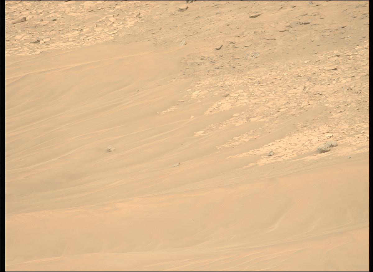 This image was taken by MCZ_LEFT onboard NASA's Mars rover Perseverance on Sol 1225