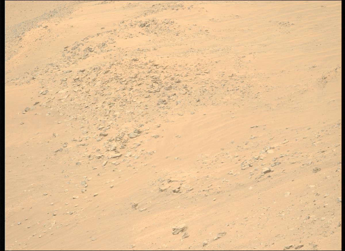 This image was taken by MCZ_LEFT onboard NASA's Mars rover Perseverance on Sol 1225