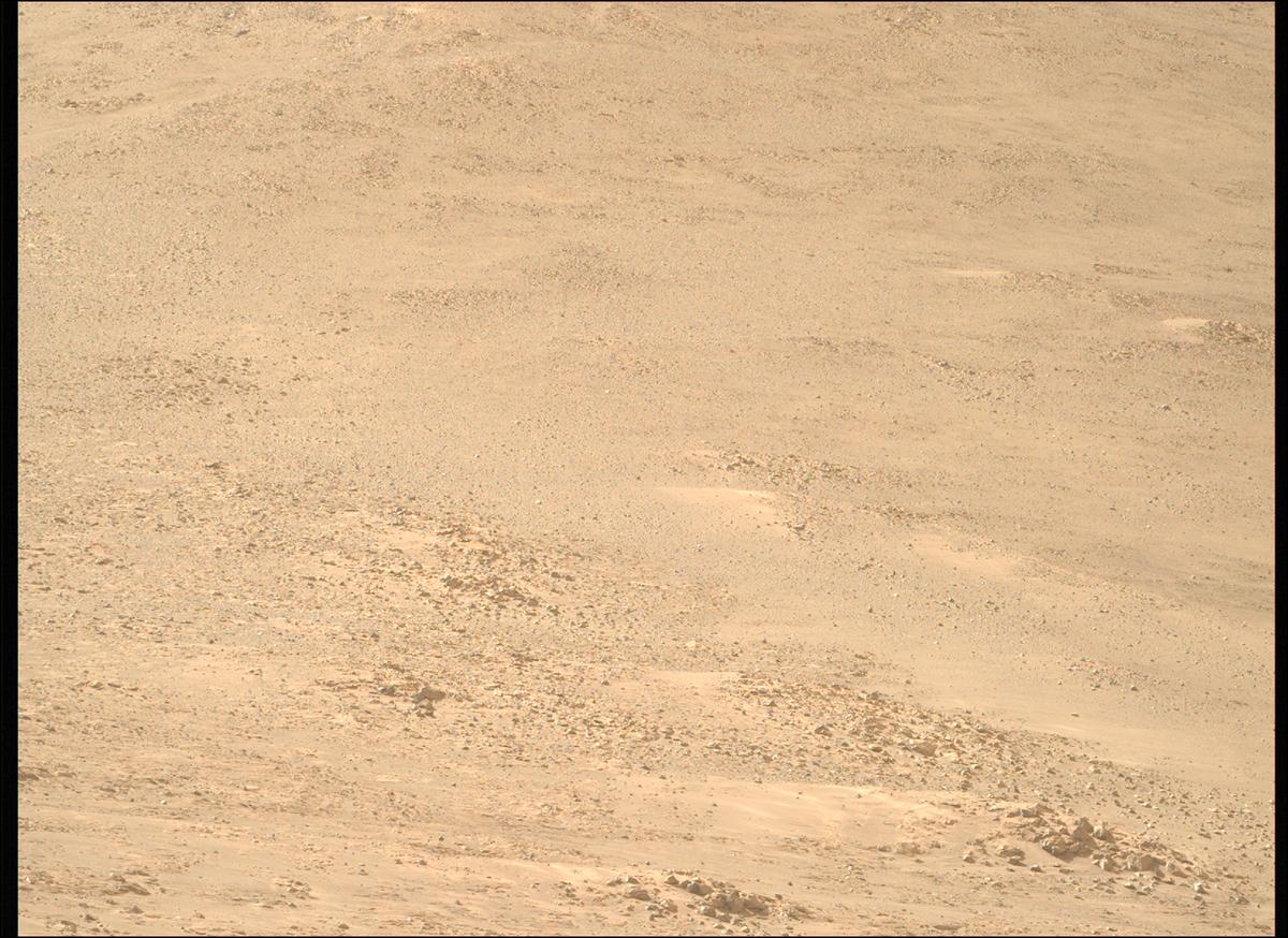 This image was taken by MCZ_RIGHT onboard NASA's Mars rover Perseverance on Sol 1225