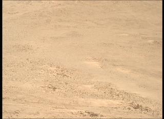 View image taken on Mars, Mars Perseverance Sol 1225: Right Mastcam-Z Camera