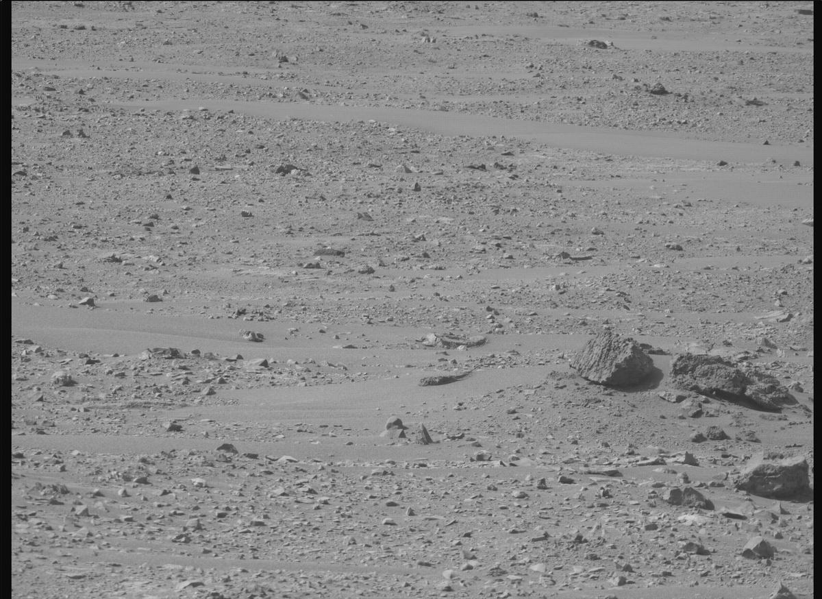 This image was taken by MCZ_RIGHT onboard NASA's Mars rover Perseverance on Sol 1225