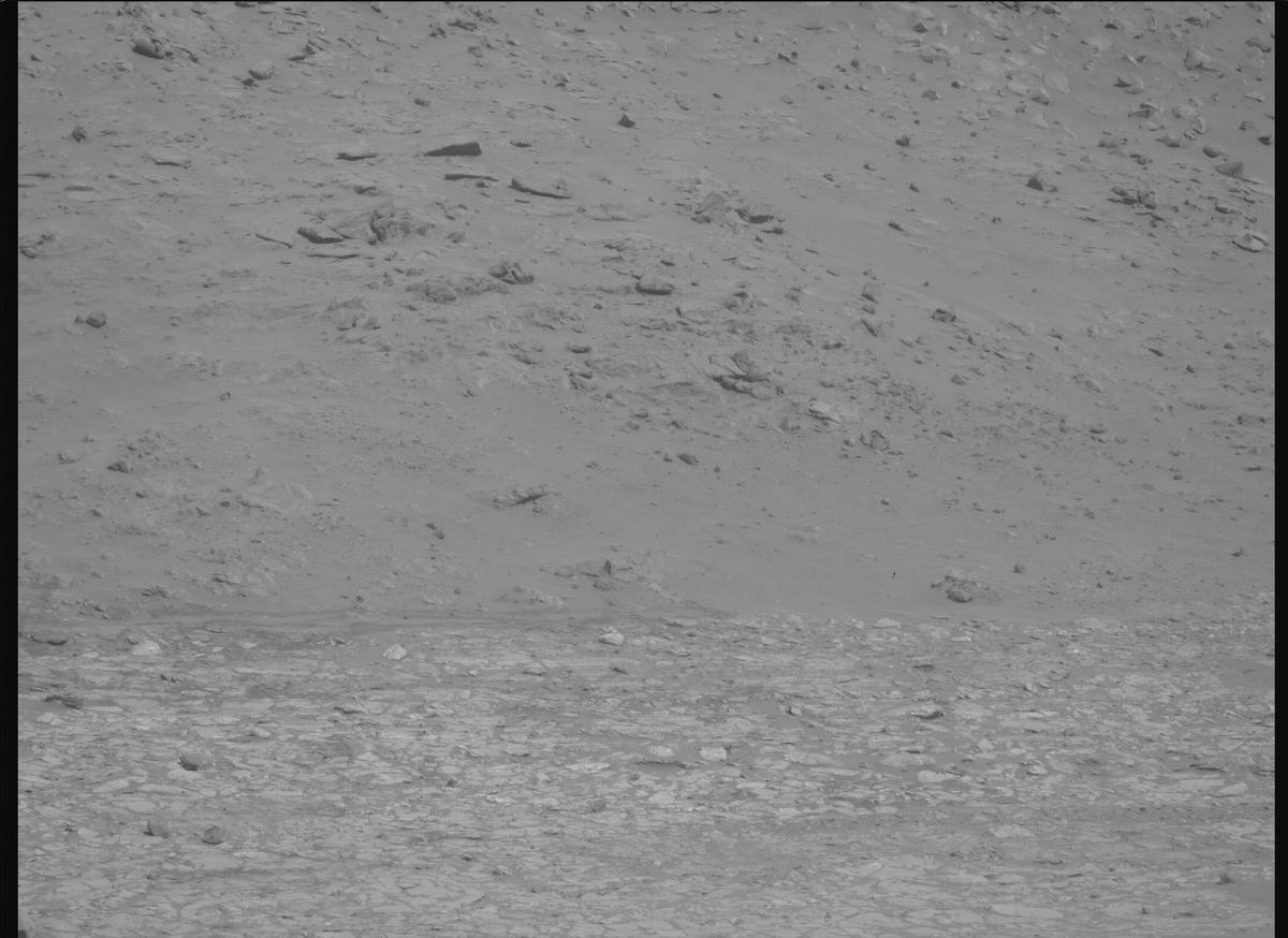This image was taken by MCZ_RIGHT onboard NASA's Mars rover Perseverance on Sol 1225