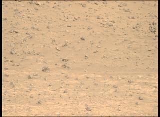 View image taken on Mars, Mars Perseverance Sol 1225: Right Mastcam-Z Camera