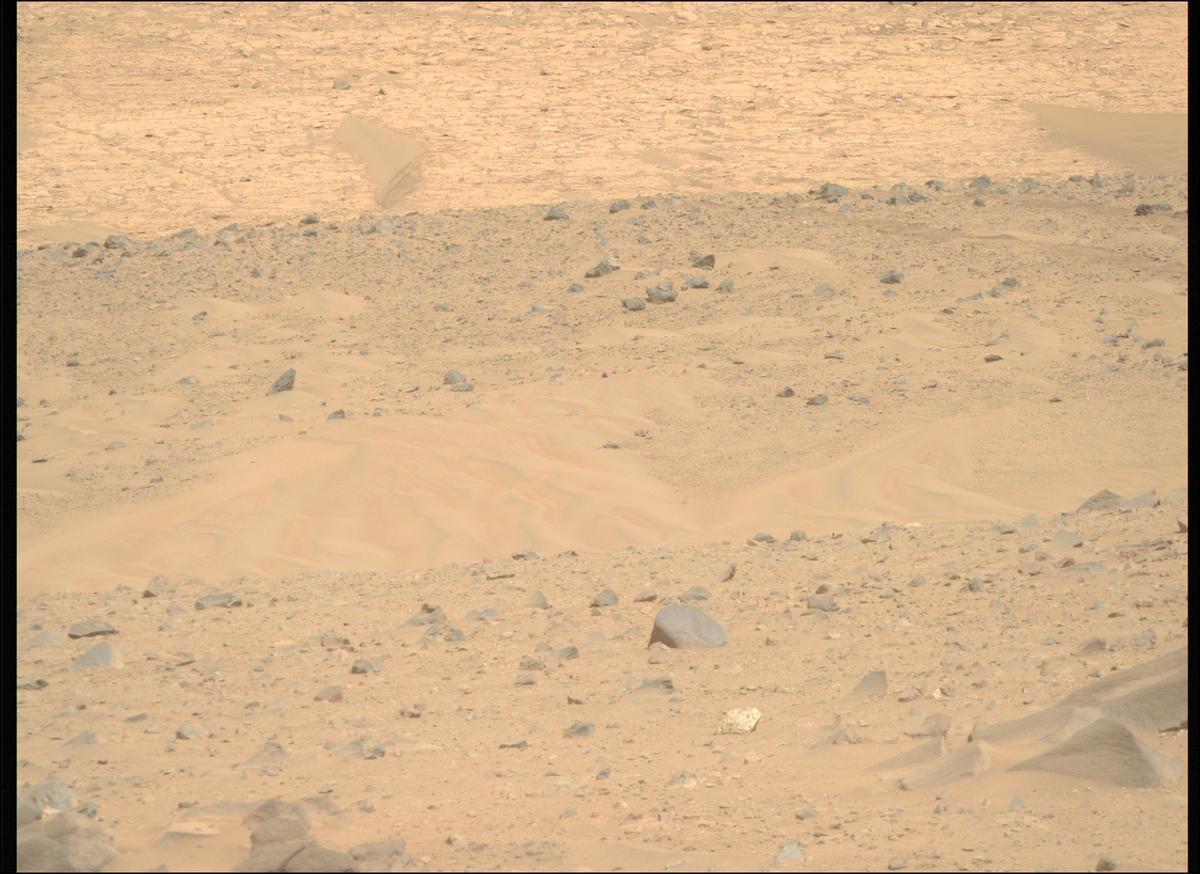 This image was taken by MCZ_RIGHT onboard NASA's Mars rover Perseverance on Sol 1225