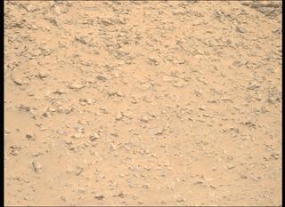View image taken on Mars, Mars Perseverance Sol 1225: Right Mastcam-Z Camera