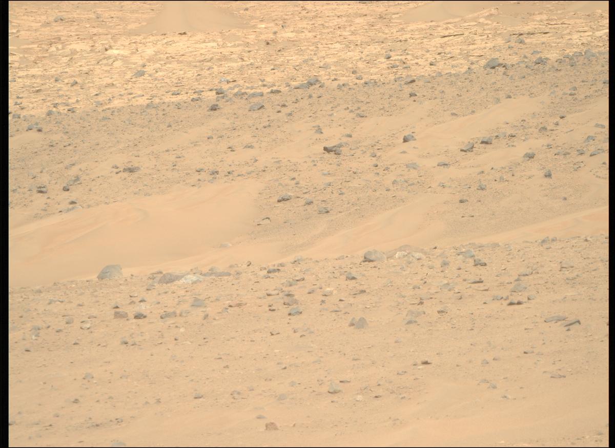 This image was taken by MCZ_RIGHT onboard NASA's Mars rover Perseverance on Sol 1225