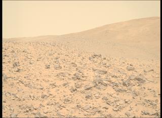 View image taken on Mars, Mars Perseverance Sol 1225: Right Mastcam-Z Camera