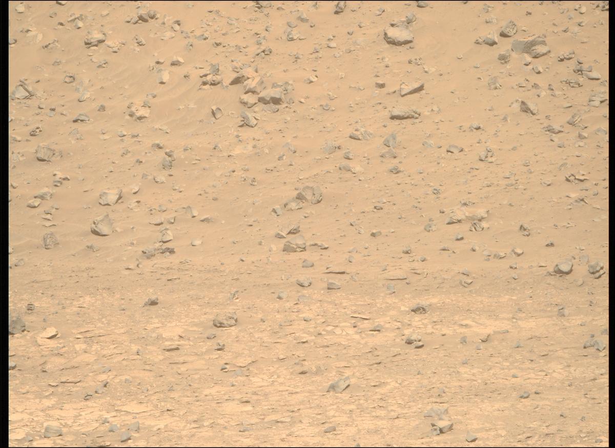 This image was taken by MCZ_RIGHT onboard NASA's Mars rover Perseverance on Sol 1225