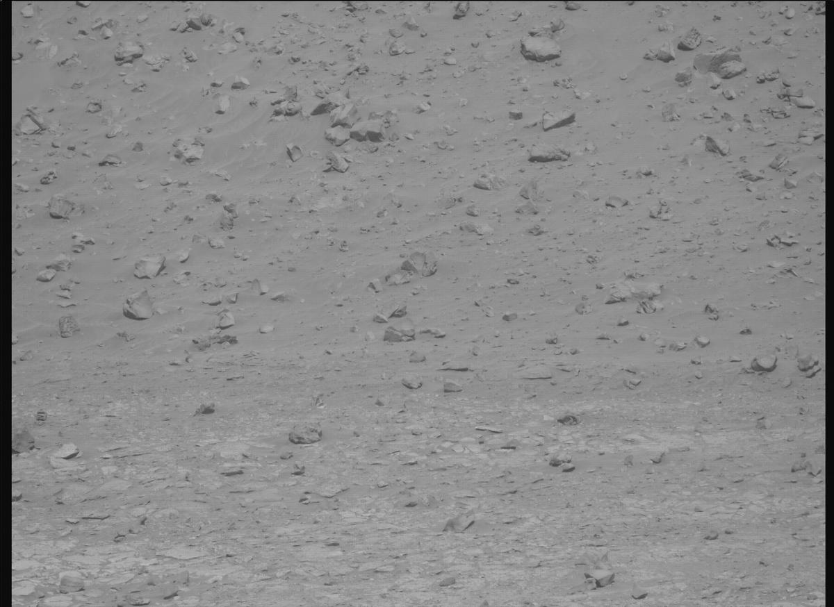 This image was taken by MCZ_RIGHT onboard NASA's Mars rover Perseverance on Sol 1225