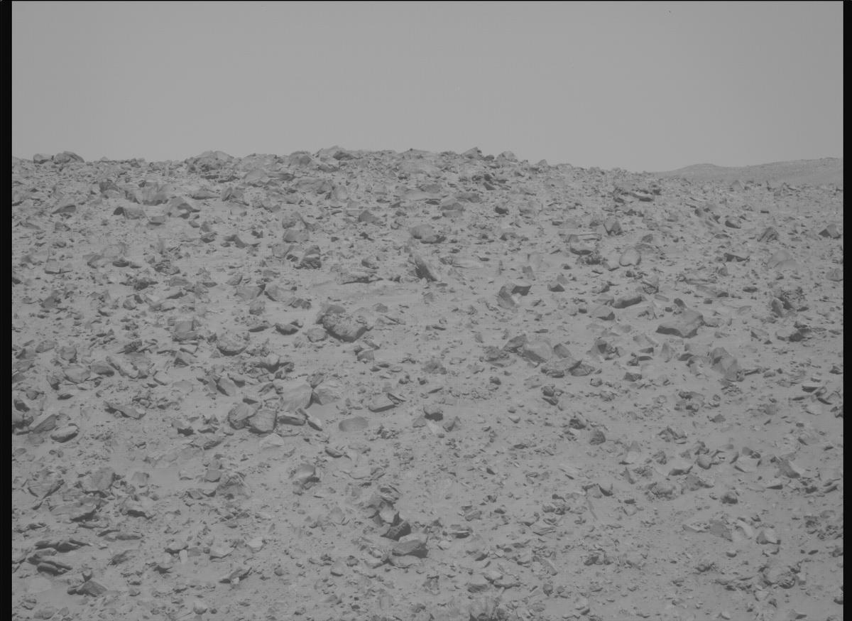 This image was taken by MCZ_RIGHT onboard NASA's Mars rover Perseverance on Sol 1225
