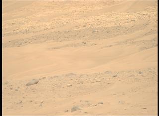 View image taken on Mars, Mars Perseverance Sol 1225: Right Mastcam-Z Camera