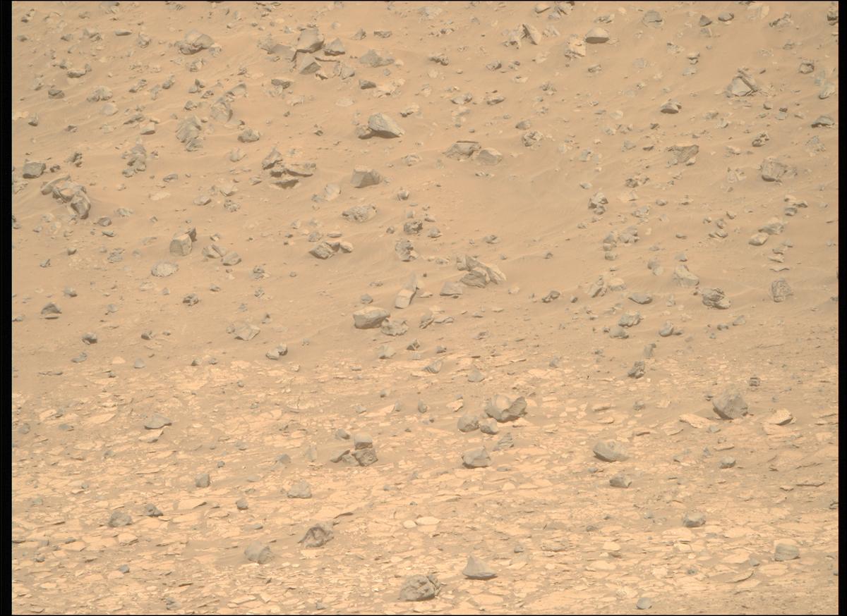 This image was taken by MCZ_RIGHT onboard NASA's Mars rover Perseverance on Sol 1225