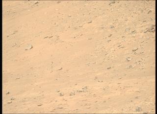 View image taken on Mars, Mars Perseverance Sol 1225: Right Mastcam-Z Camera