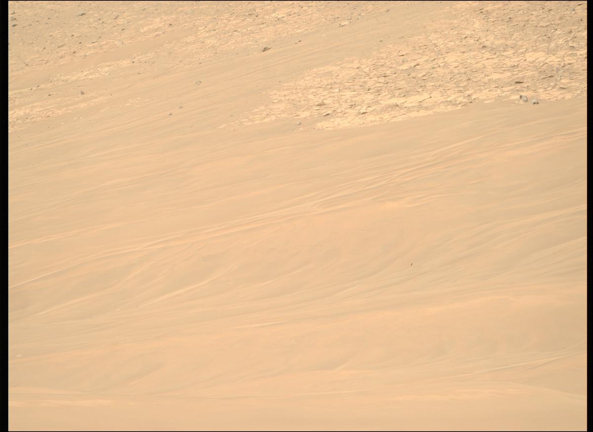 This image was taken by MCZ_RIGHT onboard NASA's Mars rover Perseverance on Sol 1225