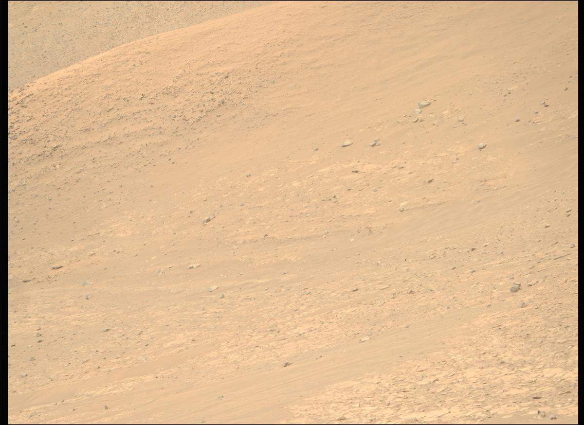This image was taken by MCZ_RIGHT onboard NASA's Mars rover Perseverance on Sol 1225