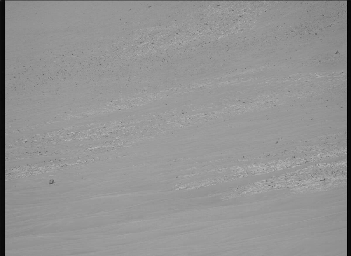 This image was taken by MCZ_RIGHT onboard NASA's Mars rover Perseverance on Sol 1225