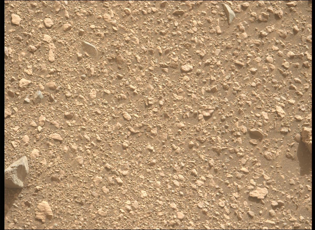 This image was taken by MCZ_LEFT onboard NASA's Mars rover Perseverance on Sol 1226