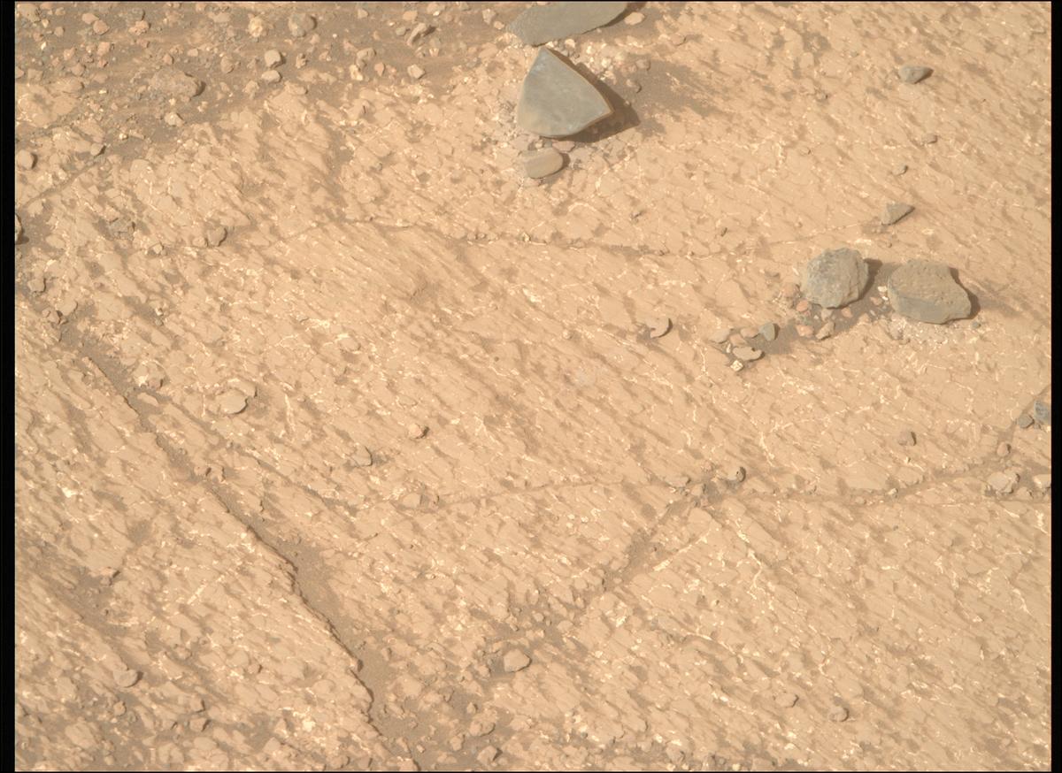 This image was taken by MCZ_RIGHT onboard NASA's Mars rover Perseverance on Sol 1226