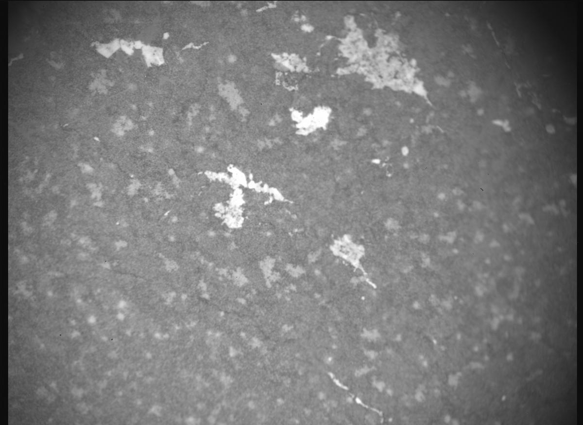 This image was taken by SHERLOC_ACI onboard NASA's Mars rover Perseverance on Sol 1228