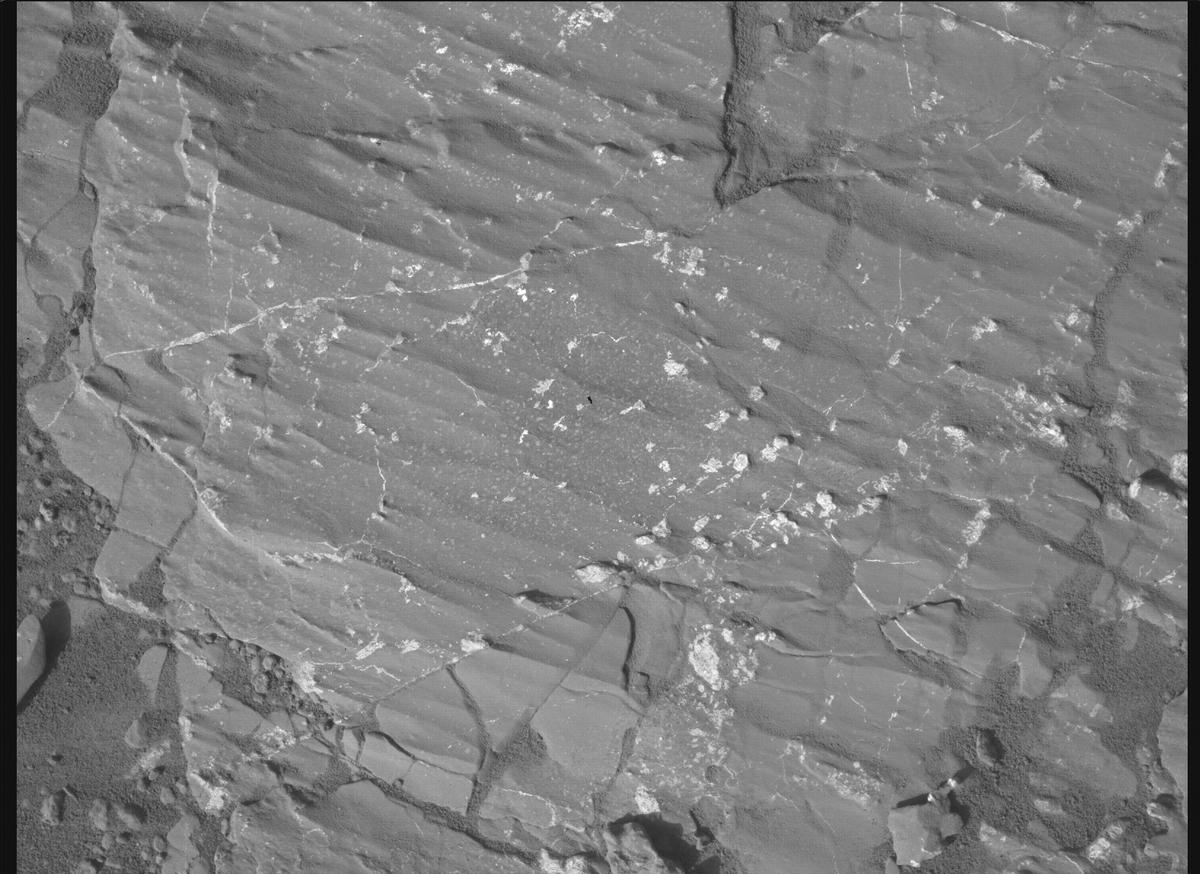 This image was taken by SHERLOC_WATSON onboard NASA's Mars rover Perseverance on Sol 1228