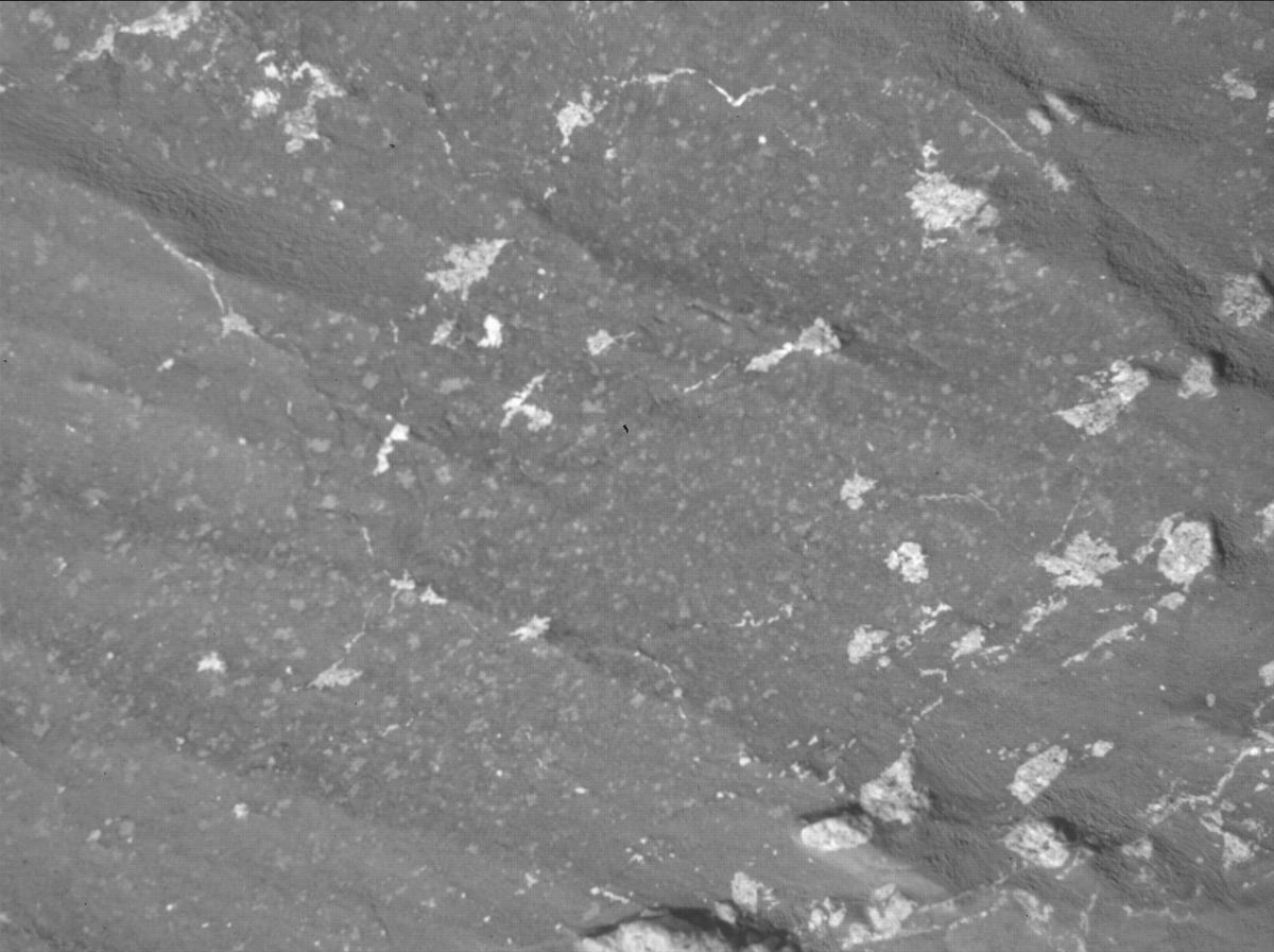 This image was taken by SHERLOC_WATSON onboard NASA's Mars rover Perseverance on Sol 1228