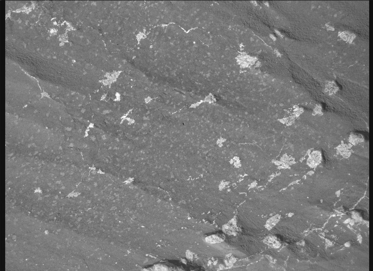 This image was taken by SHERLOC_WATSON onboard NASA's Mars rover Perseverance on Sol 1228