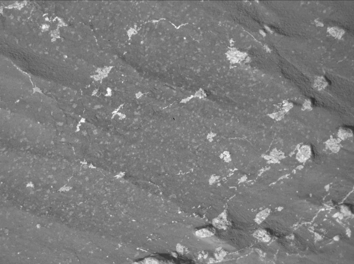 This image was taken by SHERLOC_WATSON onboard NASA's Mars rover Perseverance on Sol 1228