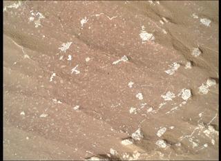 View image taken on Mars, Mars Perseverance Sol 1228: WATSON Camera 