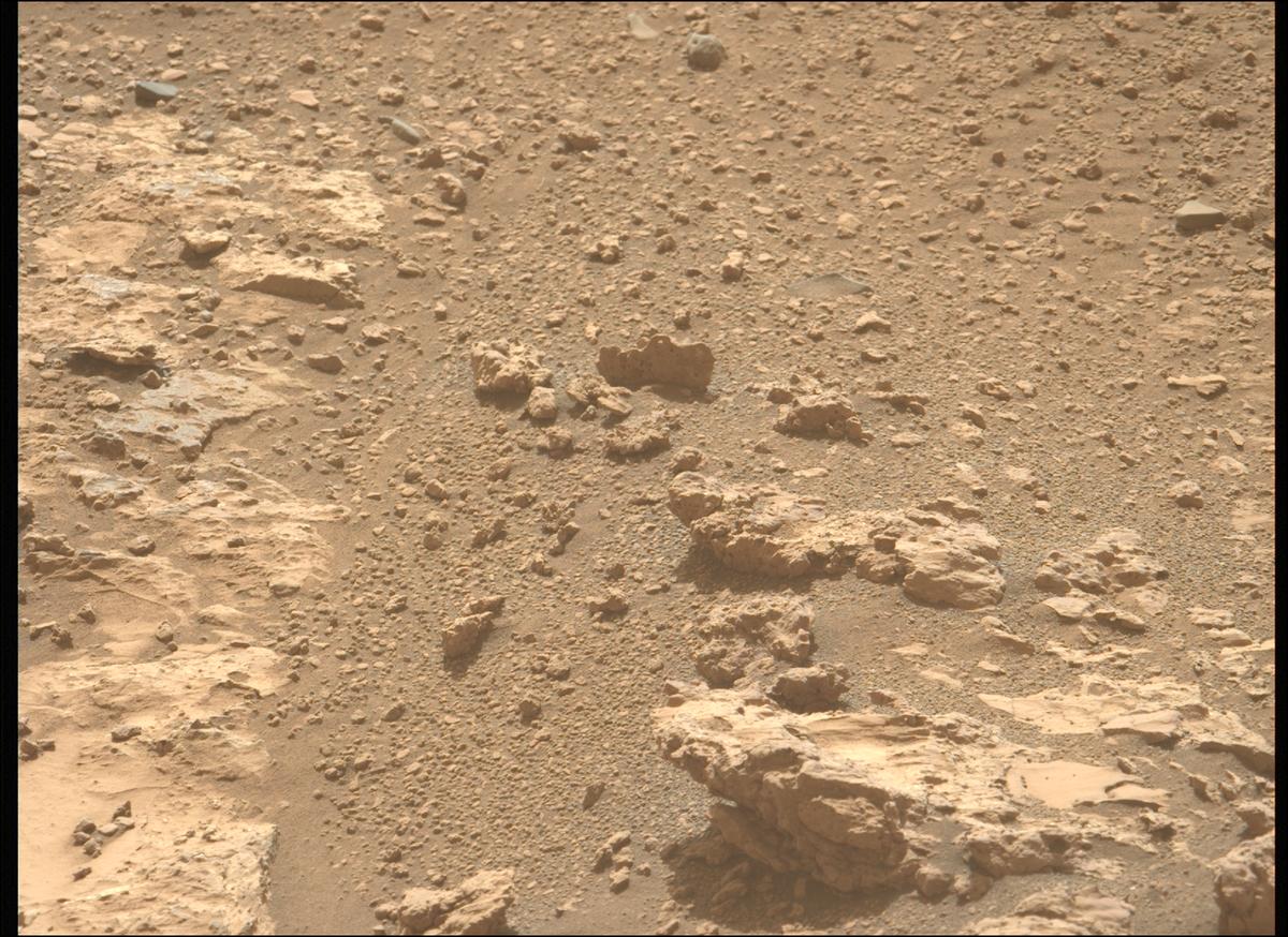 This image was taken by MCZ_LEFT onboard NASA's Mars rover Perseverance on Sol 1228