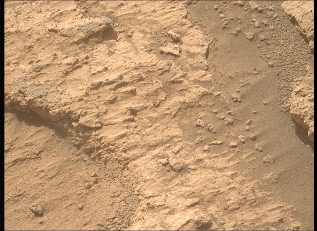 This image was taken by MCZ_LEFT onboard NASA's Mars rover Perseverance on Sol 1228
